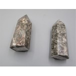 Gemstone Points - Coral Fossil Point - Style 1 (About 2.5 inch)