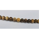 16 Inch 6 mm Petrified Wood Bead Strand