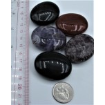 Flat Stone - Spheroid Shape - Show Special Size - 5 pcs Pack Assorted