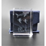 Crystal imitation Quartz Rectangle w Shark  (3 x 3 x 4 cm)
