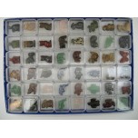 1 Inch Figurine Collection 1 Animal World - Assorted 48 piece pack