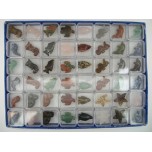 1 Inch Figurine Collection 2 Sea Life - Assorted 48 piece pack